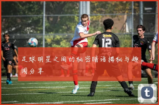 足球明星之间的秘密暗语揭秘与趣闻分享