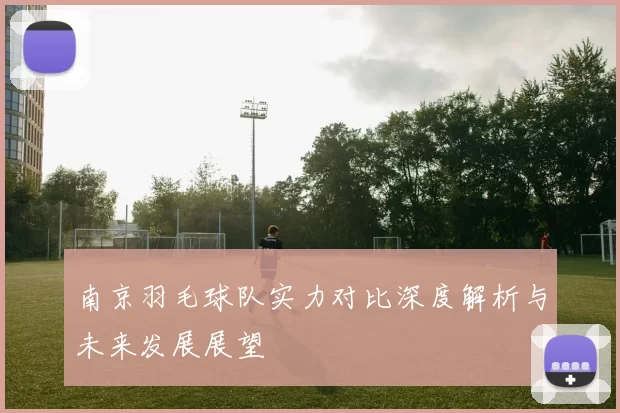 南京羽毛球队实力对比深度解析与未来发展展望