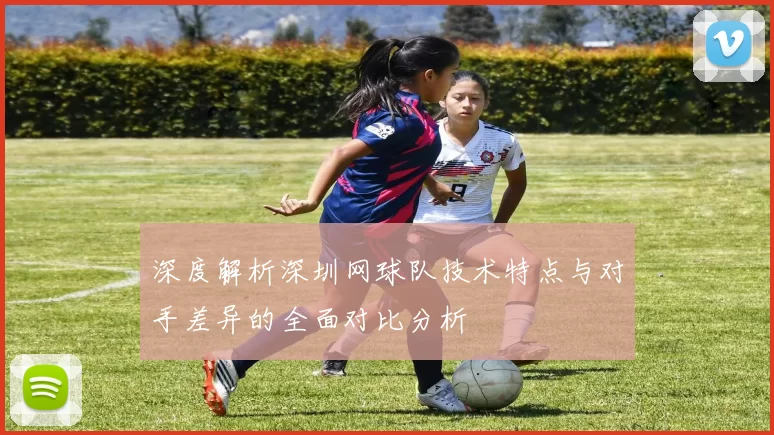 深度解析深圳网球队技术特点与对手差异的全面对比分析