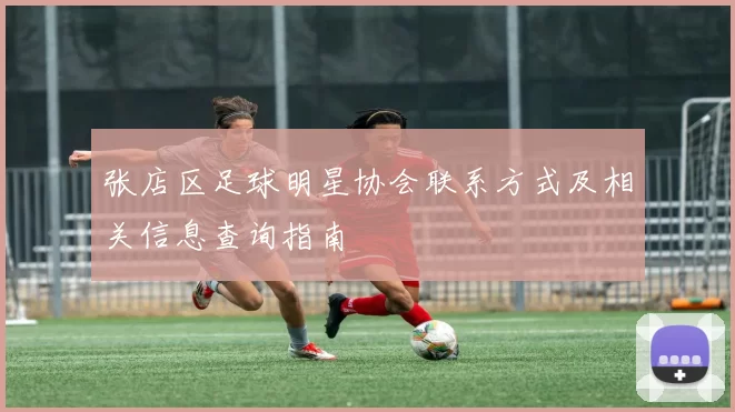 张店区足球明星协会联系方式及相关信息查询指南
