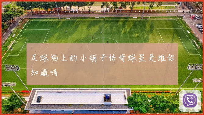 足球场上的小胡子传奇球星是谁你知道吗