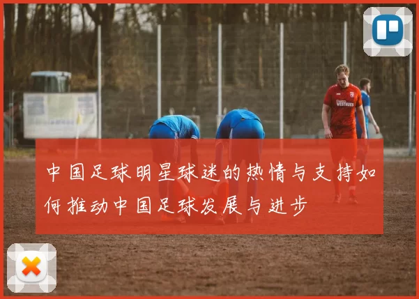 中国足球明星球迷的热情与支持如何推动中国足球发展与进步