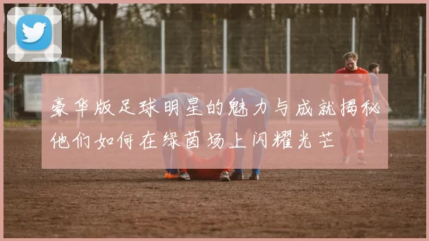 豪华版足球明星的魅力与成就揭秘他们如何在绿茵场上闪耀光芒