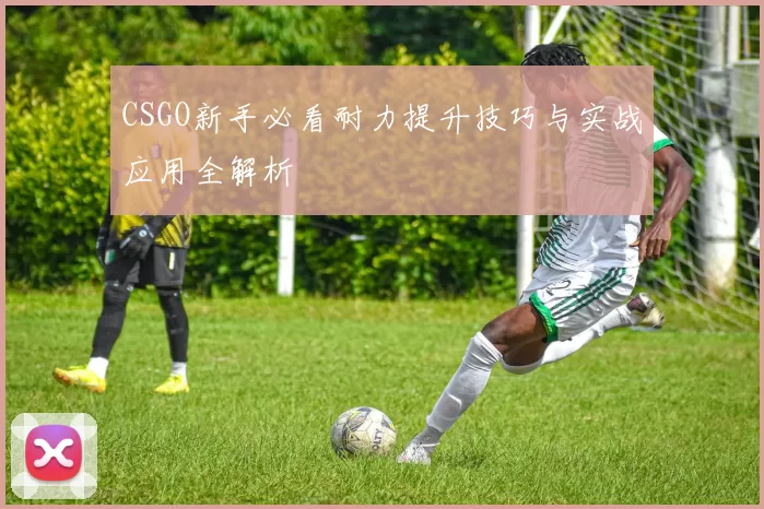 CSGO新手必看耐力提升技巧与实战应用全解析