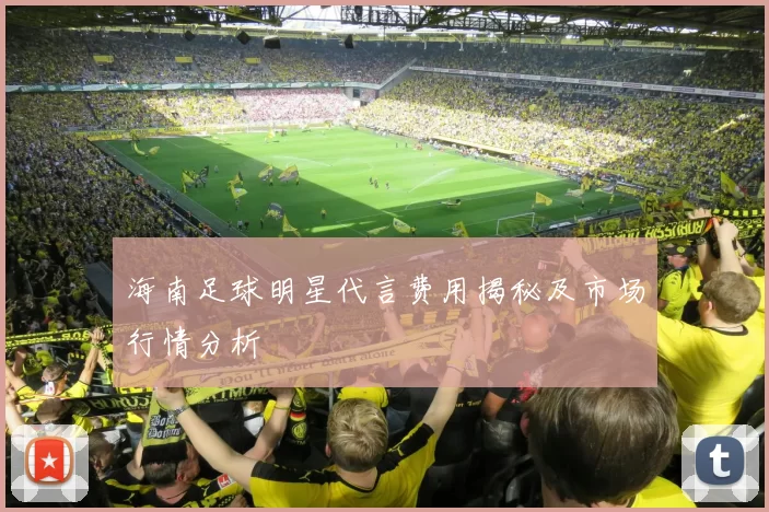 海南足球明星代言费用揭秘及市场行情分析