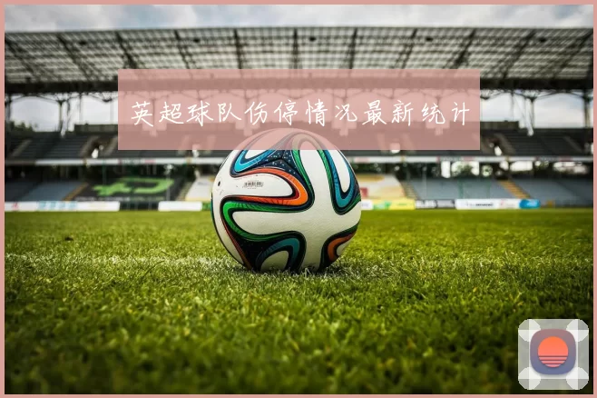 英超球队伤停情况最新统计