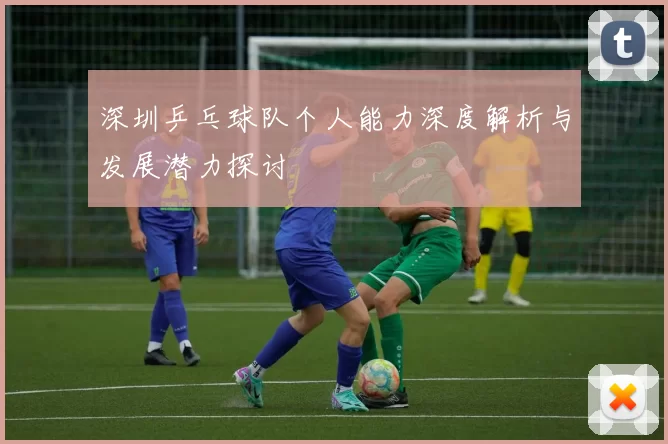 深圳乒乓球队个人能力深度解析与发展潜力探讨