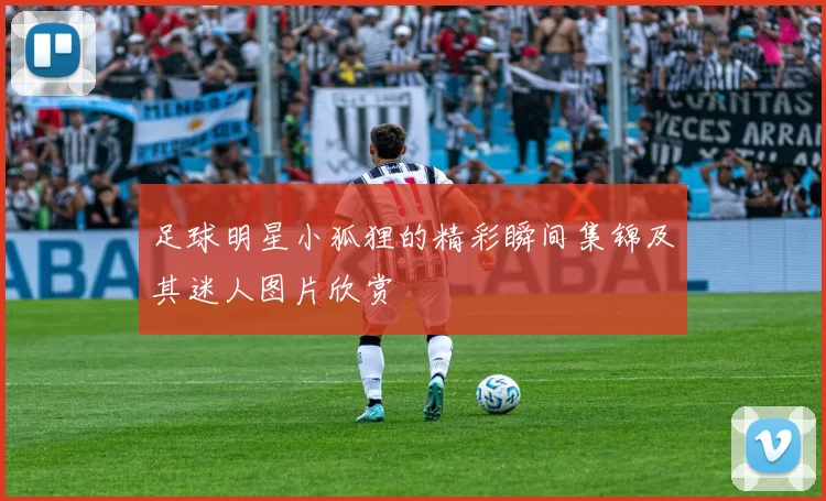 足球明星小狐狸的精彩瞬间集锦及其迷人图片欣赏