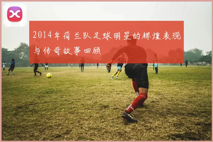 2014年荷兰队足球明星的辉煌表现与传奇故事回顾