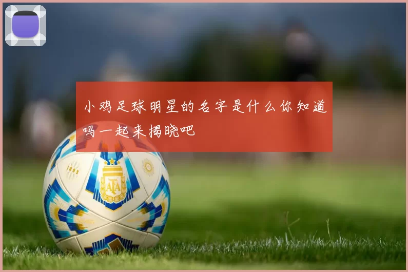 小鸡足球明星的名字是什么你知道吗一起来揭晓吧