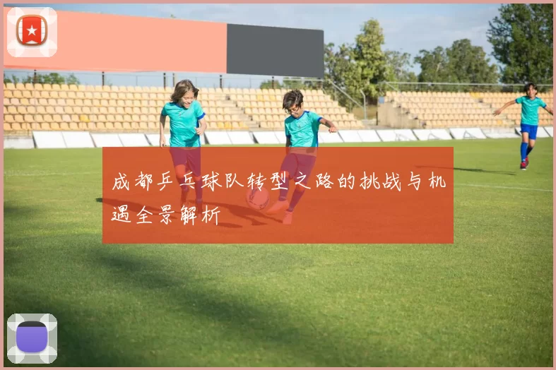 成都乒乓球队转型之路的挑战与机遇全景解析