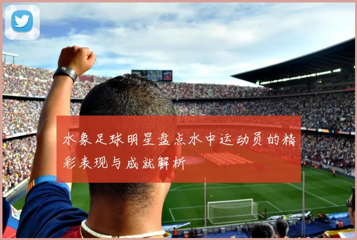 水象足球明星盘点水中运动员的精彩表现与成就解析