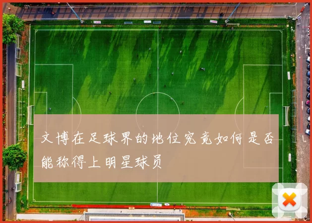 文博在足球界的地位究竟如何是否能称得上明星球员