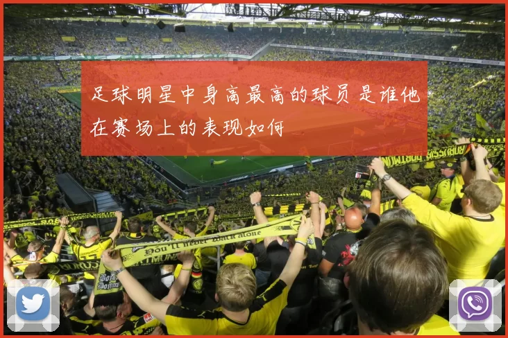 足球明星中身高最高的球员是谁他在赛场上的表现如何