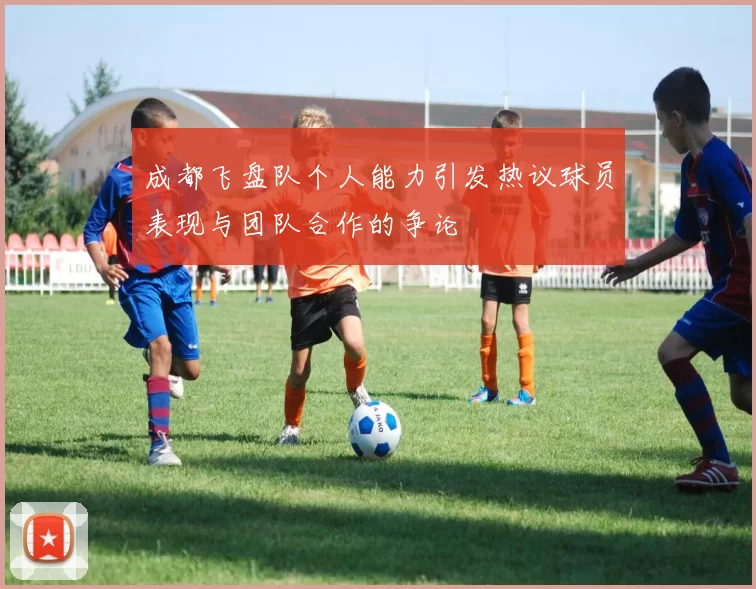 成都飞盘队个人能力引发热议球员表现与团队合作的争论