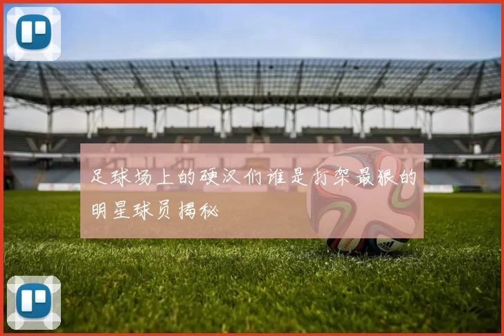 足球场上的硬汉们谁是打架最狠的明星球员揭秘