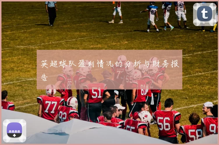 英超球队盈利情况的分析与财务报告