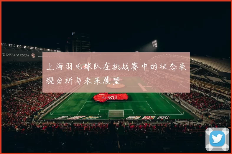 上海羽毛球队在挑战赛中的状态表现分析与未来展望