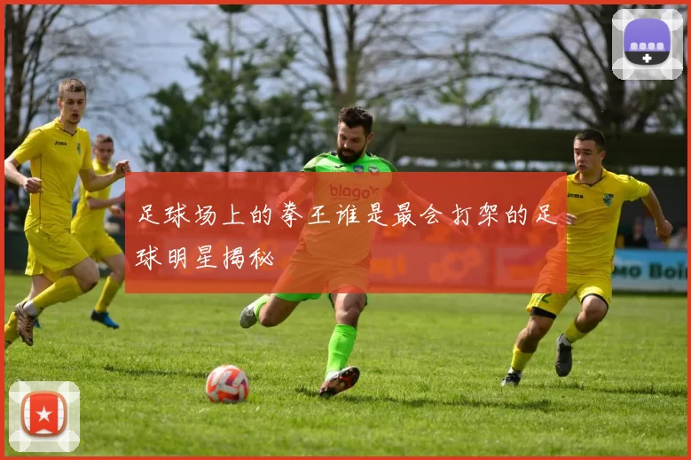 足球场上的拳王谁是最会打架的足球明星揭秘