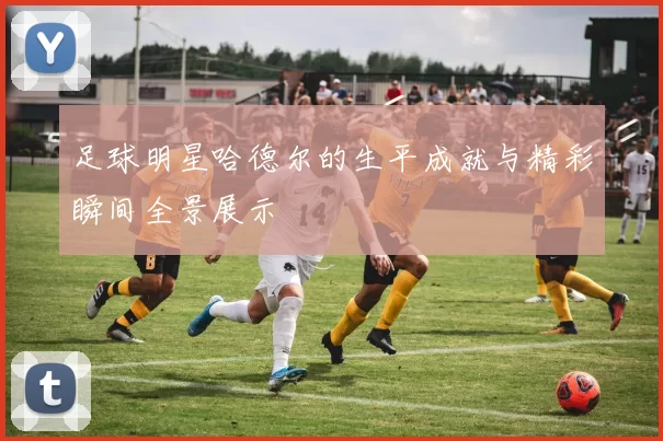 足球明星哈德尔的生平成就与精彩瞬间全景展示