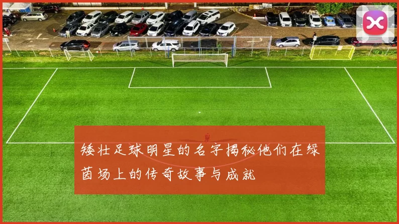 矮壮足球明星的名字揭秘他们在绿茵场上的传奇故事与成就