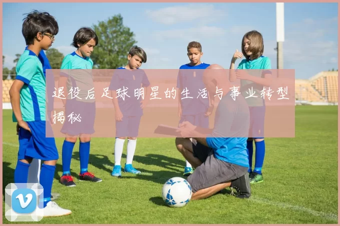 退役后足球明星的生活与事业转型揭秘