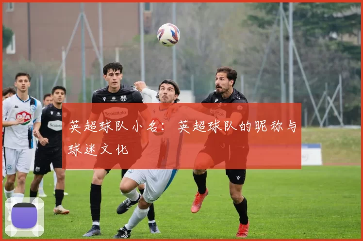 英超球队小名：英超球队的昵称与球迷文化