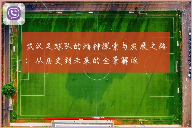 武汉足球队的精神探索与发展之路：从历史到未来的全景解读