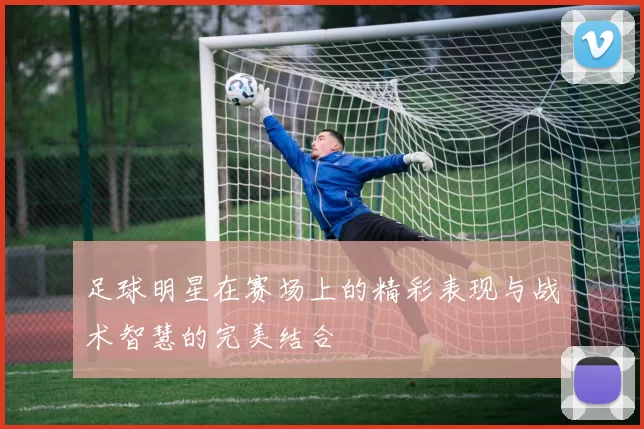足球明星在赛场上的精彩表现与战术智慧的完美结合